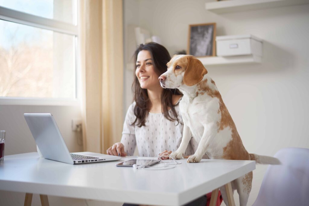A woman on her laptop with her dog next to her